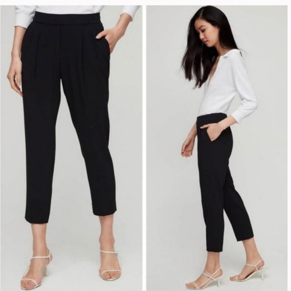Aritzia Babaton Cohen Pants - Picture 3 of 11